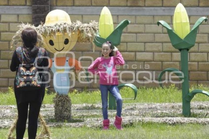 FESTIVAL DE LA PAJA