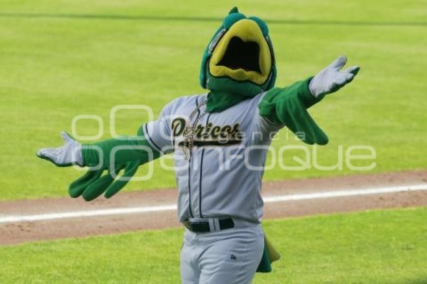 BÉISBOL . PERICOS VS LEONES