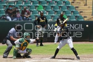 BÉISBOL . PERICOS VS LEONES