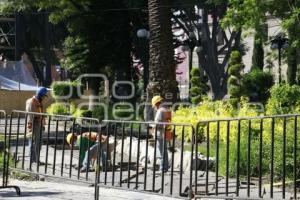 REHABILITACIÓN ZÓCALO