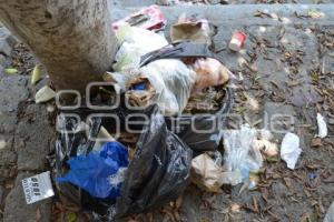 TEHUACÁN . BASURA