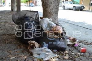 TEHUACÁN . BASURA