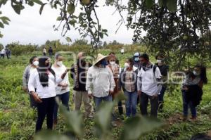 CALPAN . RUTA AGROTURÍSTICA