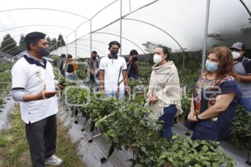 CALPAN . RUTA AGROTURÍSTICA