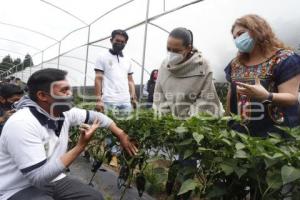 CALPAN . RUTA AGROTURÍSTICA