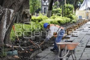 REHABILITACIÓN ZÓCALO