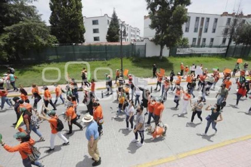 MANIFESTACIÓN . UDLAP