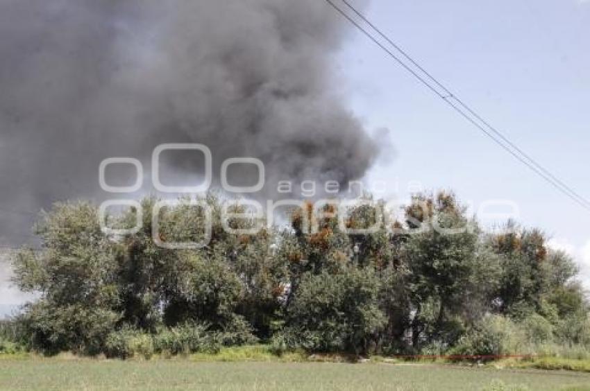 TEXMELUCAN . INCENDIO VIVERO