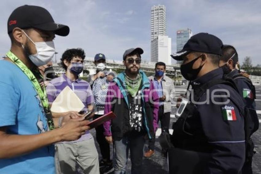 MOVIMIENTO CANNÁBICO