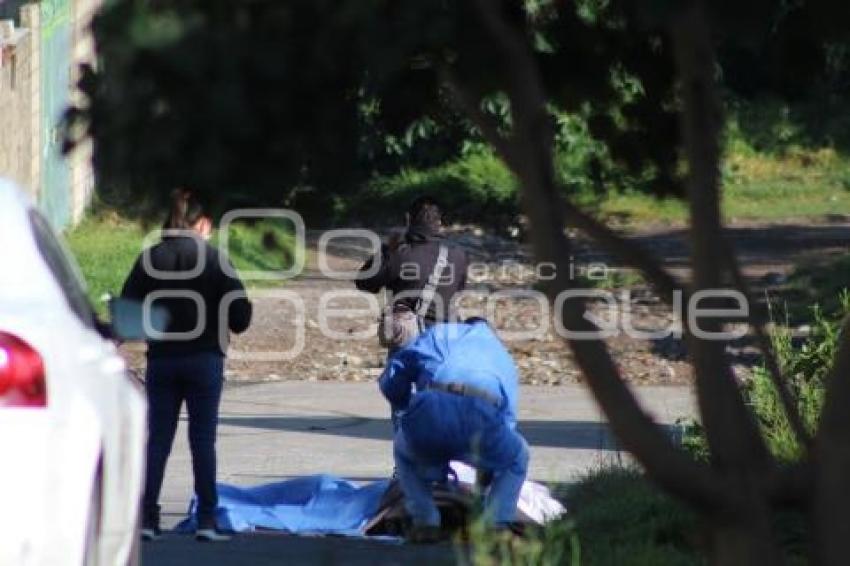 NOTA ROJA . ASESINATO