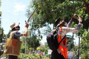 TEHUACÁN . PROYECTO UNAM