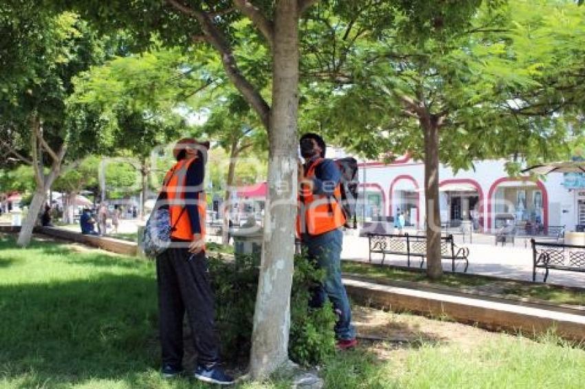 TEHUACÁN . PROYECTO UNAM