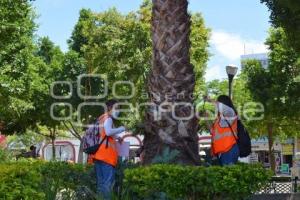 TEHUACÁN . PROYECTO UNAM