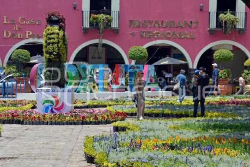 ATLIXCO . TAPETE MONUMENTAL