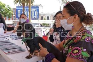 FESTIVAL DE LAS JUVENTUDES