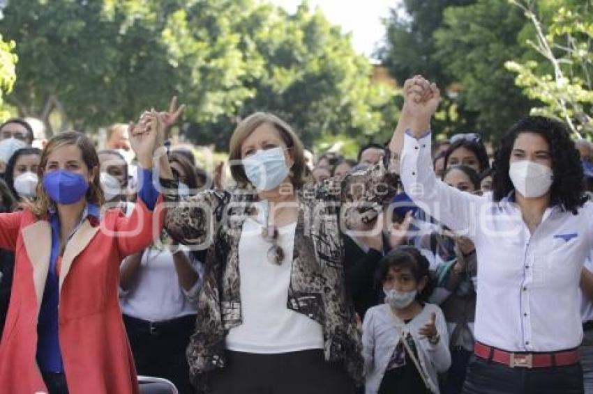 PAN . ELECCIÓN INTERNA