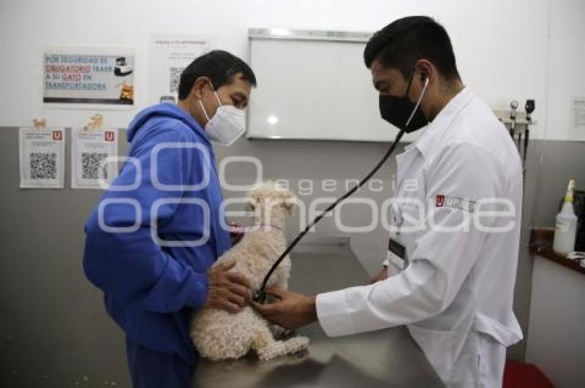 DÍA DEL VETERINARIO