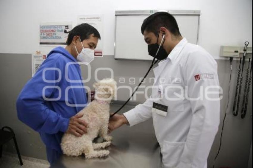 DÍA DEL VETERINARIO 