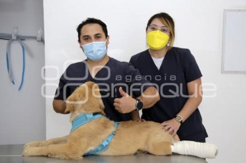 DÍA DEL VETERINARIO 