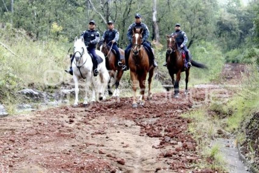 POLICÍA MONTADA