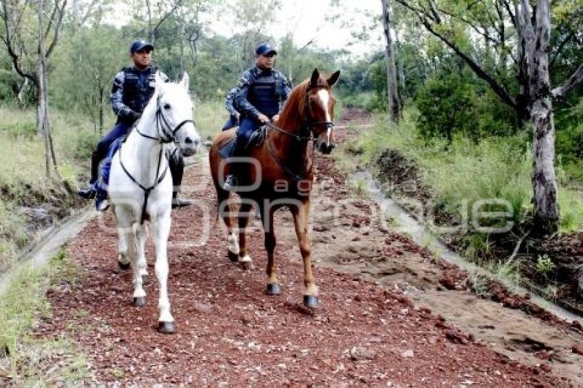 POLICÍA MONTADA