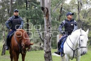 POLICÍA MONTADA