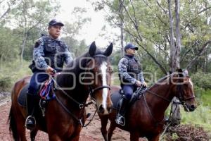 POLICÍA MONTADA