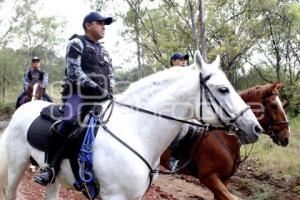 POLICÍA MONTADA