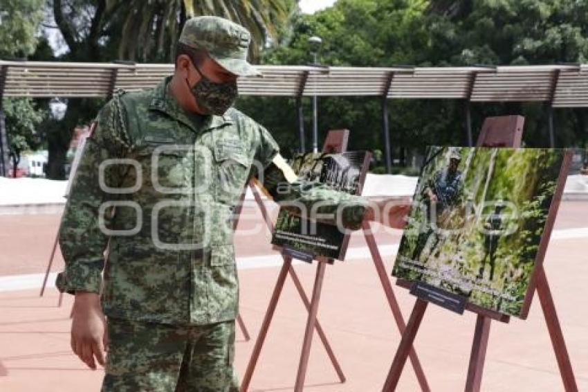 PASEO BRAVO . EXPOSICIÓN MILITAR