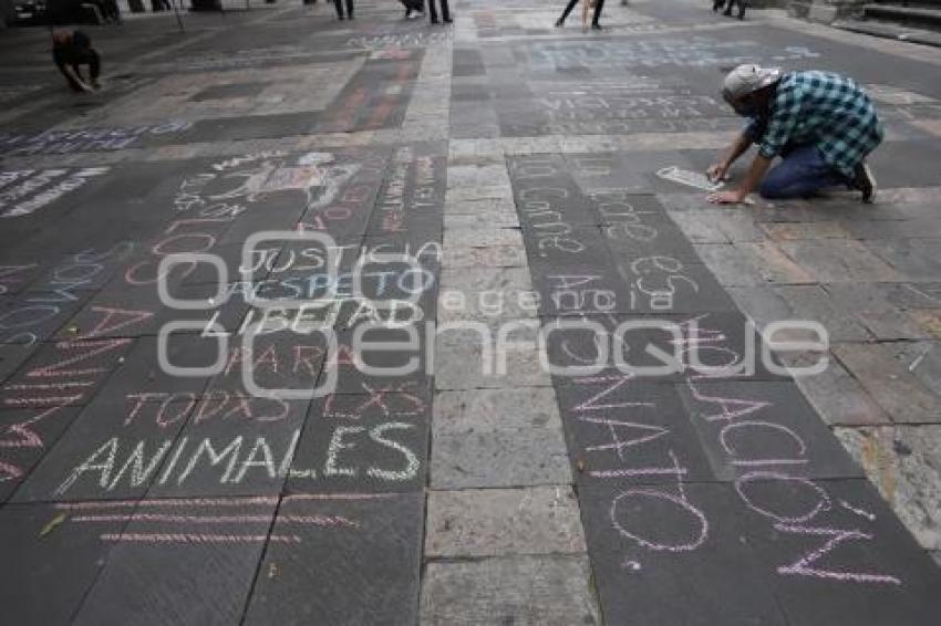 MANIFESTACIÓN MALTRATO ANIMAL