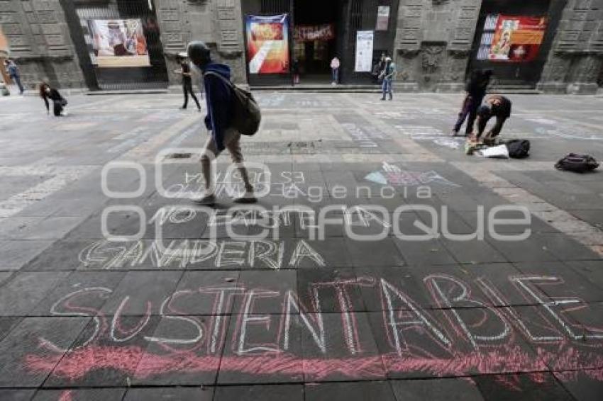 MANIFESTACIÓN MALTRATO ANIMAL