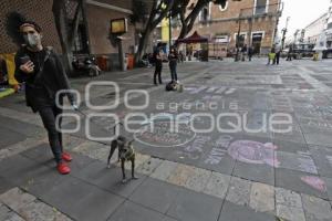 MANIFESTACIÓN MALTRATO ANIMAL