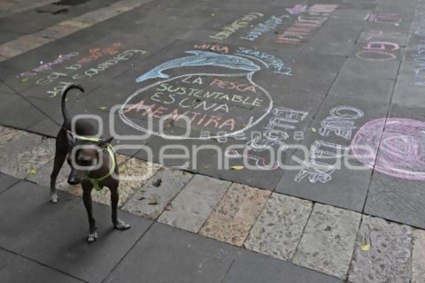 MANIFESTACIÓN MALTRATO ANIMAL