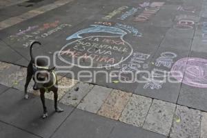 MANIFESTACIÓN MALTRATO ANIMAL