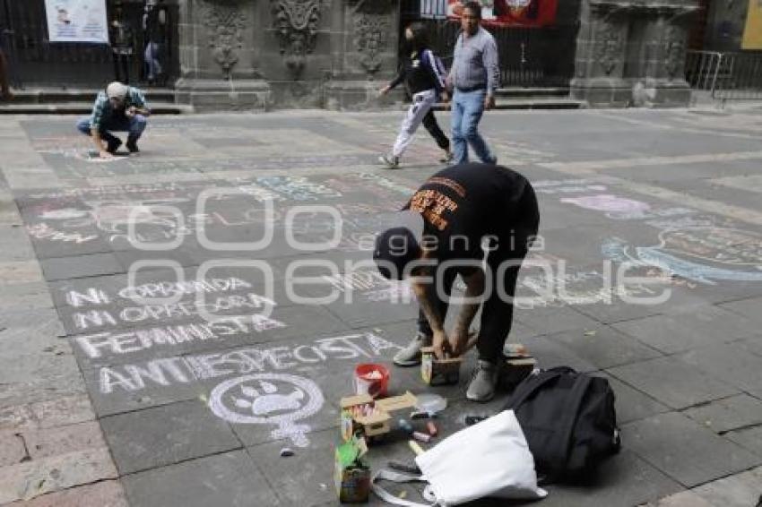 MANIFESTACIÓN MALTRATO ANIMAL