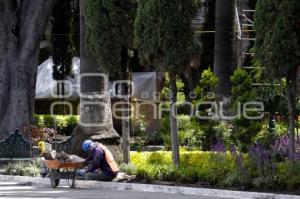 REHABILITACIÓN ZÓCALO