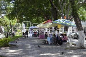 TEHUACÁN . PARQUE HIDALGO