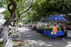 TEHUACÁN . PARQUE HIDALGO