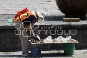 REHABILITACIÓN ZÓCALO