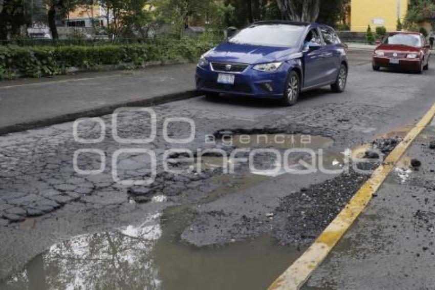 BACHES