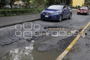 BACHES