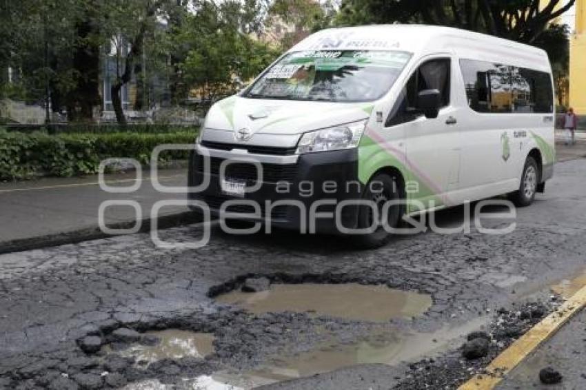 BACHES