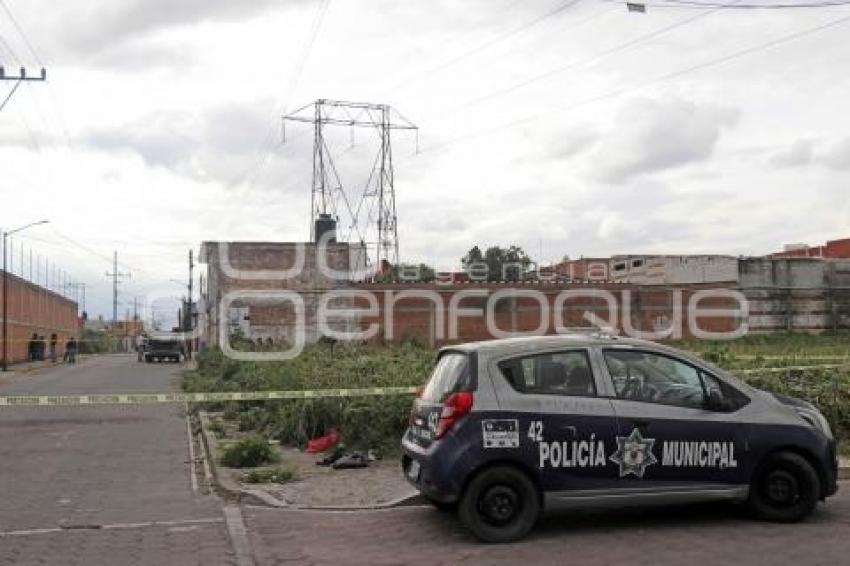 NOTA ROJA . CALCINADO