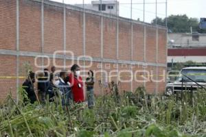 NOTA ROJA . CALCINADO