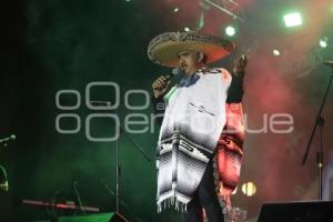 FIESTAS PATRIAS . CANTANTE IMITADOR