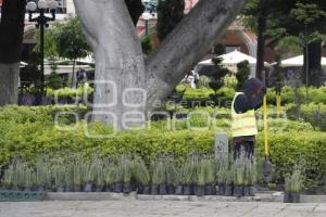 REHABILITACIÓN ZÓCALO