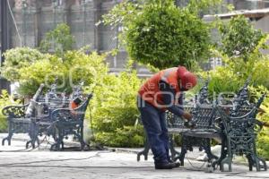 REHABILITACIÓN ZÓCALO