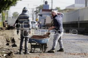 BACHES