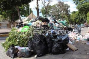 TEHUACÁN . BASURA