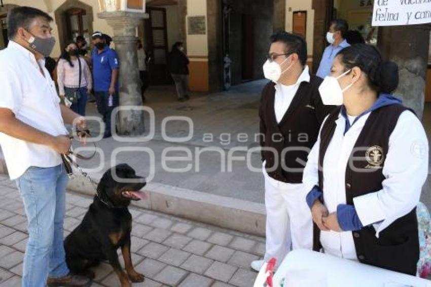 TLAXCALA . VACUNA ANTIRRÁBICA